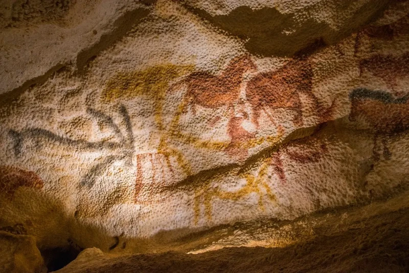 LascauxII - calcite © Dan Courtice